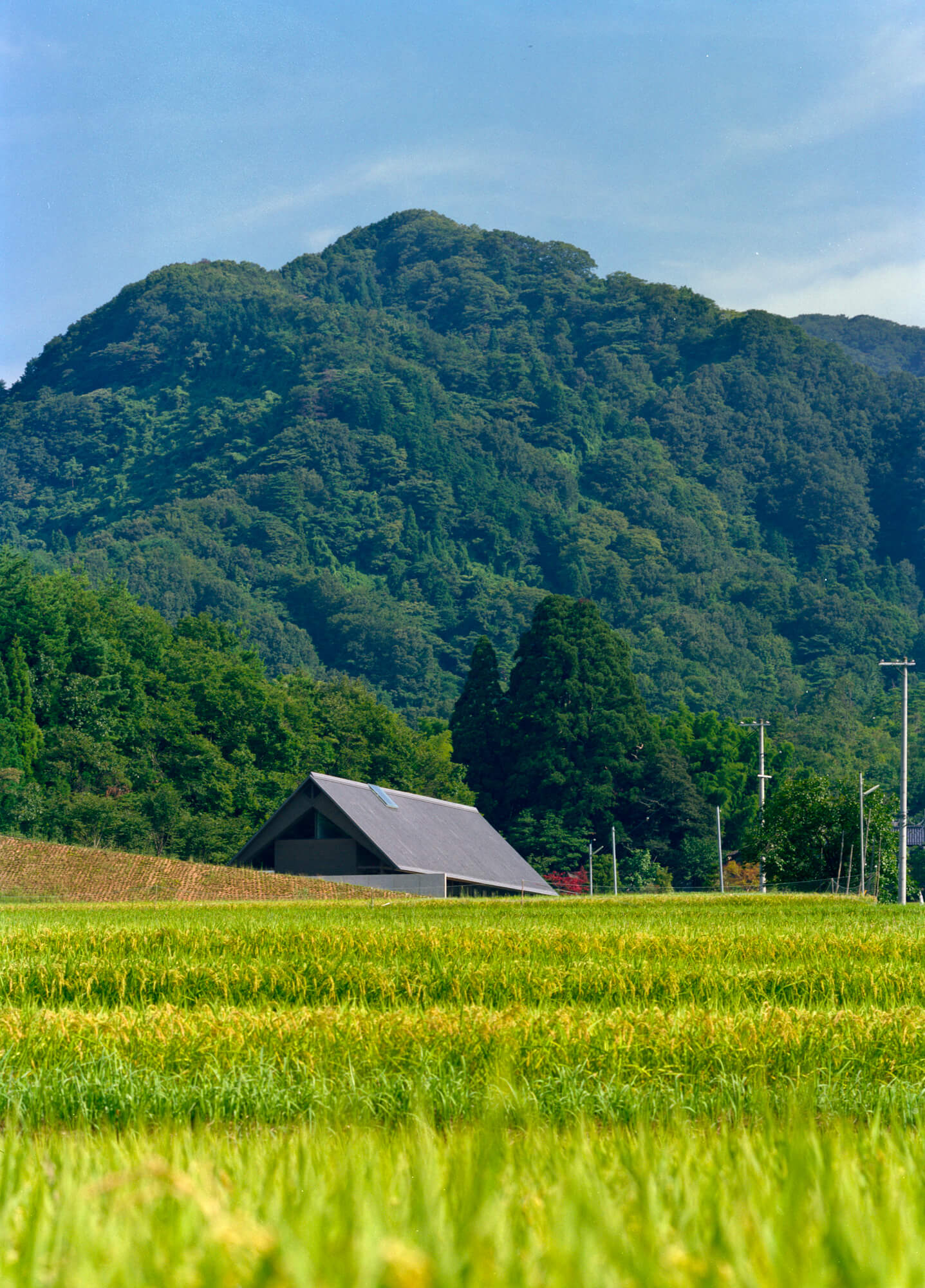 小町の舎